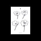 https://clone.nl/platen/artwork/gallery/82434/small/001.jpg