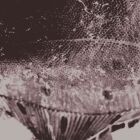 https://clone.nl/platen/artwork/gallery/82559/small/001.jpg