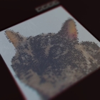 https://clone.nl/platen/artwork/gallery/82679/small/003.jpg