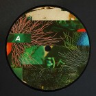 https://clone.nl/platen/artwork/gallery/82749/small/003.jpg