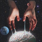https://clone.nl/platen/artwork/gallery/83053/small/001.jpg