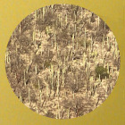 https://clone.nl/platen/artwork/gallery/83194/small/002.jpg