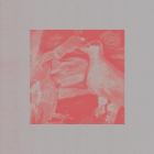 https://clone.nl/platen/artwork/gallery/83229/small/001.jpg