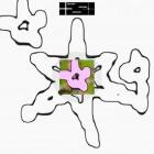 https://clone.nl/platen/artwork/gallery/83272/small/001.jpg