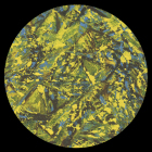 https://clone.nl/platen/artwork/gallery/83359/small/001.jpg