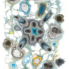 https://clone.nl/platen/artwork/gallery/83613/small/001.jpg