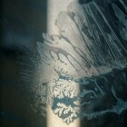 https://clone.nl/platen/artwork/gallery/83835/small/001.jpg