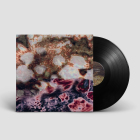 https://clone.nl/platen/artwork/gallery/83836/small/001.jpg