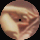 https://clone.nl/platen/artwork/gallery/83921/small/001.jpg