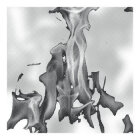 https://clone.nl/platen/artwork/gallery/84174/small/001.jpg