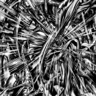 https://clone.nl/platen/artwork/gallery/84324/small/001.jpg