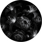 https://clone.nl/platen/artwork/gallery/84524/small/001.jpg