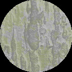 https://clone.nl/platen/artwork/gallery/84688/small/002.jpg