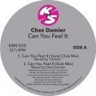 Chez Damier - Can You Feel It (UK repress)