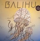 Daniel Wang - Daniel Wang Presents Balihu