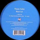 Naum Gabo - Black Lab