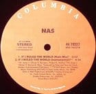 Nas  - If I ruled the world