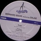 Bernard Badie - Train