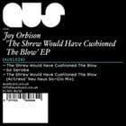 Joy Orbison - The Shrew Would Have Cushioned The Blow