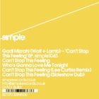 Gadi Mizrahi - Can't Stop This Feeling (Lee Curtiss rmx)