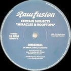 Certain Subjects - Miracles and Rooftops (Soulphiction rmx)