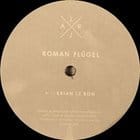 Roman Flugel - Brian Le Bon /N.M.I.S.M.D