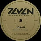 Joaan - Splendor In The Grass / 115 State