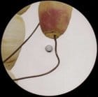 Vegetable Orchestra - Remix Trilogy Pt. 3 (Ricardo Villalobos / Luciano remixes)