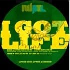 KemeticJust feat. Terrance Downs - I Got Life (DJ Spinna and KZR Mixes)