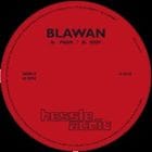 Blawan - Fram / Iddy
