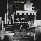 Desolate - The Invisible Insurrection