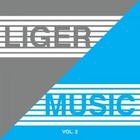 Various Artists - Liger Music vol2 (Mixed by Tom Noble and Whitemare)