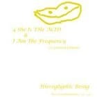 Hieroglyphic Being - 4 She Is The Acid & I Am The Frequency 