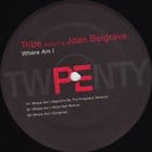 Tribe ft Joan Belgrave - Where Am I (Kyle Hall rmx)