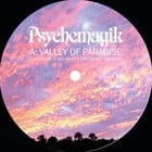 Psychemagik - Valley Of Paradise / Star Lazer 