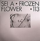 Sei A - Frozen flower