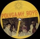 Polygamy Boys - The Minus Man ep