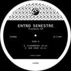 Entro Senestre - Flashbacks ep