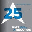 Reese & Chez Damier - KMS 25th Anniversary Classics Vinyl Sampler 1