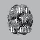 Tyler Friedman  - A Night In The Woods