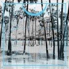 Four Tet - Lion / Peace For Earth