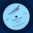 Andras Fox - Your Life 