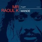 Mr. Raoul K - Mande