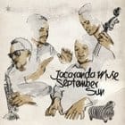 Jacarande Muse - September Sun