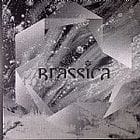 Brassica - Temple Fortune