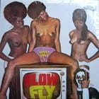 Blow Fly - On TV