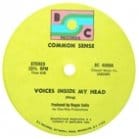 Common Sense - Voices Inside My Head