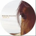 Various Artists - Bosconi Stallions Apacz