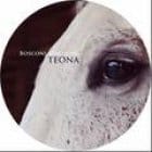 Various Artists - Bosconi Stallions Teona