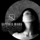 Separate Minds - Scattered Thoughts- 2013 Revisit